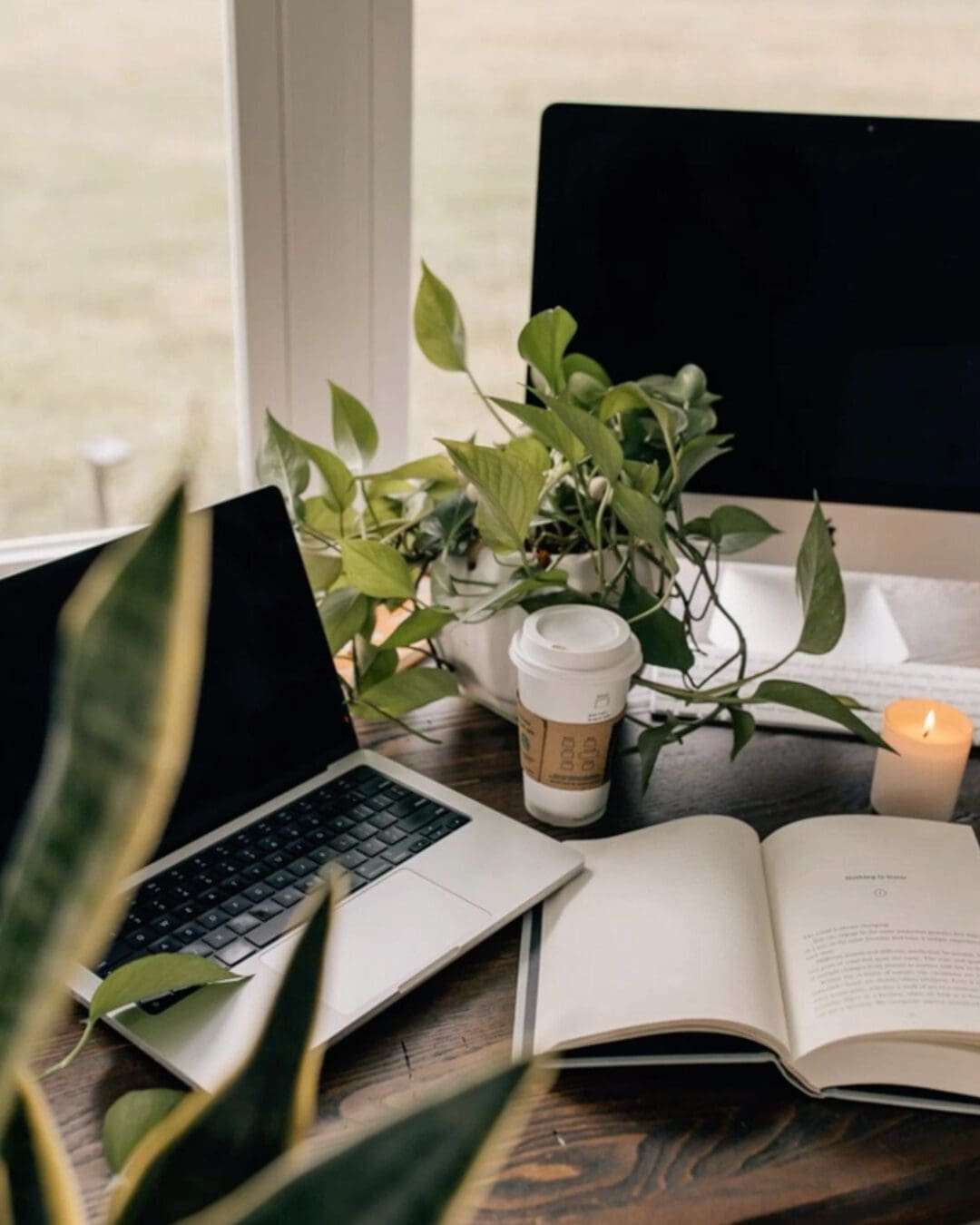 Image of a laptop, plant, and coffee cup representing Leaf and Laptop brand